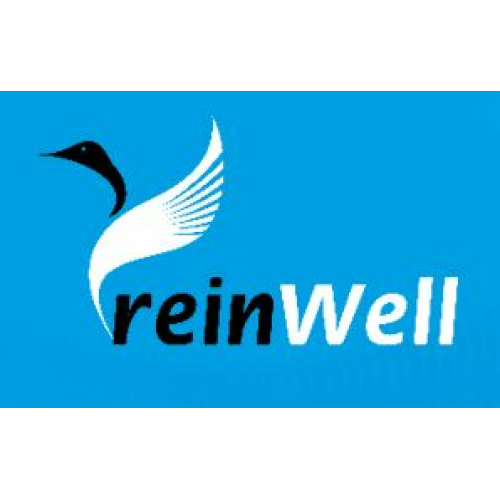 11881 ReinWell Моторное масло ADVANS 8800 0W-20 (1л) - 1 л 11881 ReinWell Моторное масло ADVANS 8800 0W-20 (1л) - 1 л